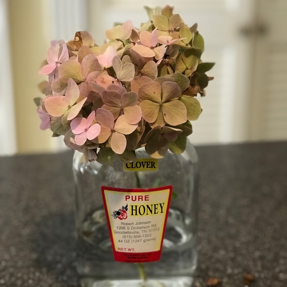 Meet your Posher, Robin